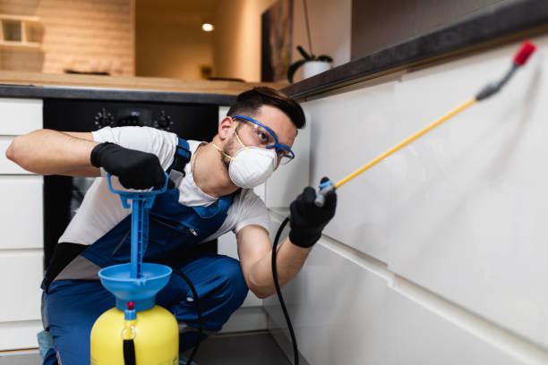 Best Pest Removal Services  in Clover, SC