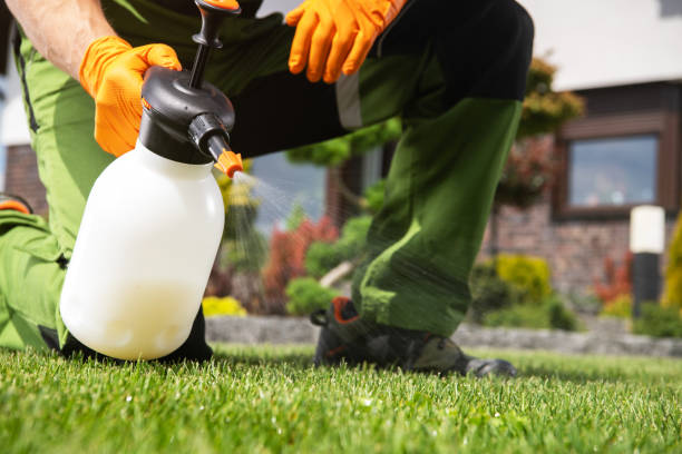 Best Pest Prevention Services  in Clover, SC