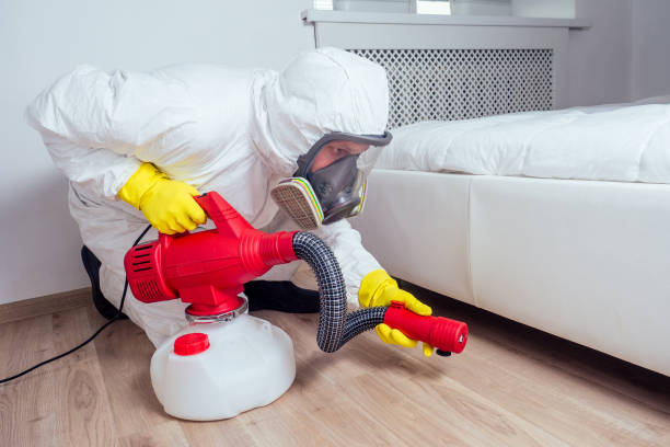 Best Pest Inspection Near Me  in Clover, SC