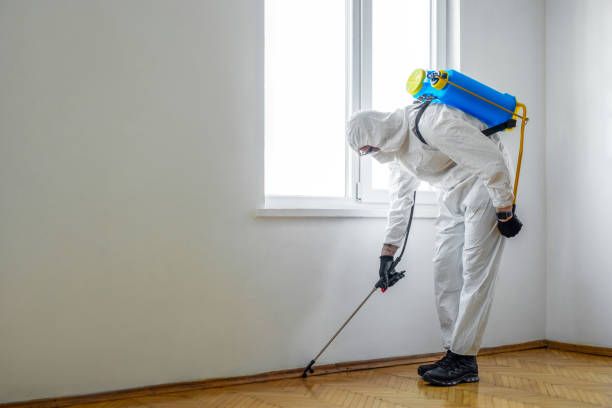 Reliable Clover, SC Pest Control Solutions
