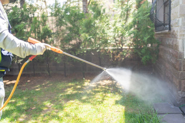 Pest Prevention Services in Clover, SC