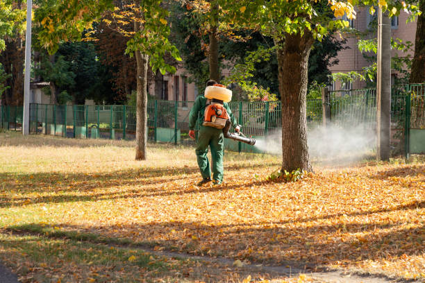 Best Pest Control Near Me  in Clover, SC