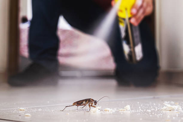  Clover, SC Pest Control Pros